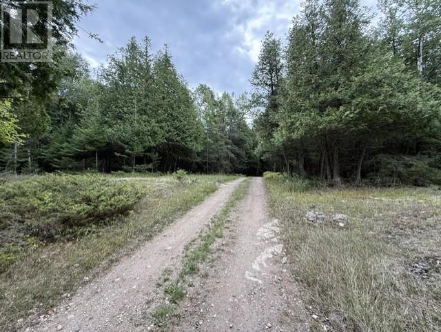 2099 Bidwell Road, Manitowaning, Ontario  P0P 1N0 - Photo 17 - 2127433