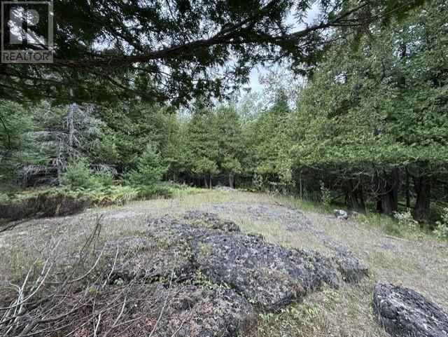 2099 Bidwell Road, Manitowaning, Ontario  P0P 1N0 - Photo 18 - 2127433