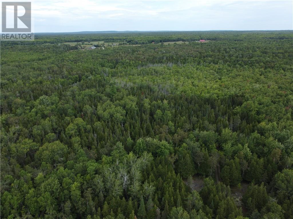 2099 Bidwell Road, Manitowaning, Ontario  P0P 1N0 - Photo 22 - 2127433