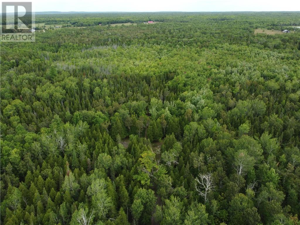 2099 Bidwell Road, Manitowaning, Ontario  P0P 1N0 - Photo 24 - 2127433