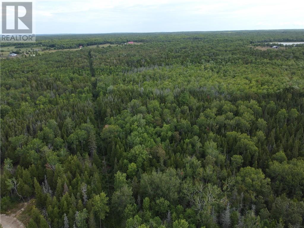 2099 Bidwell Road, Manitowaning, Ontario  P0P 1N0 - Photo 23 - 2127433