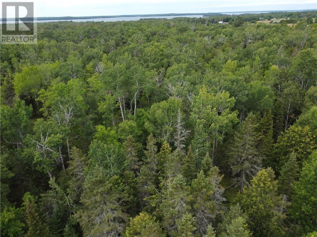 2099 Bidwell Road, Manitowaning, Ontario  P0P 1N0 - Photo 32 - 2127433