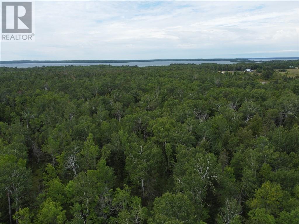 2099 Bidwell Road, Manitowaning, Ontario  P0P 1N0 - Photo 34 - 2127433