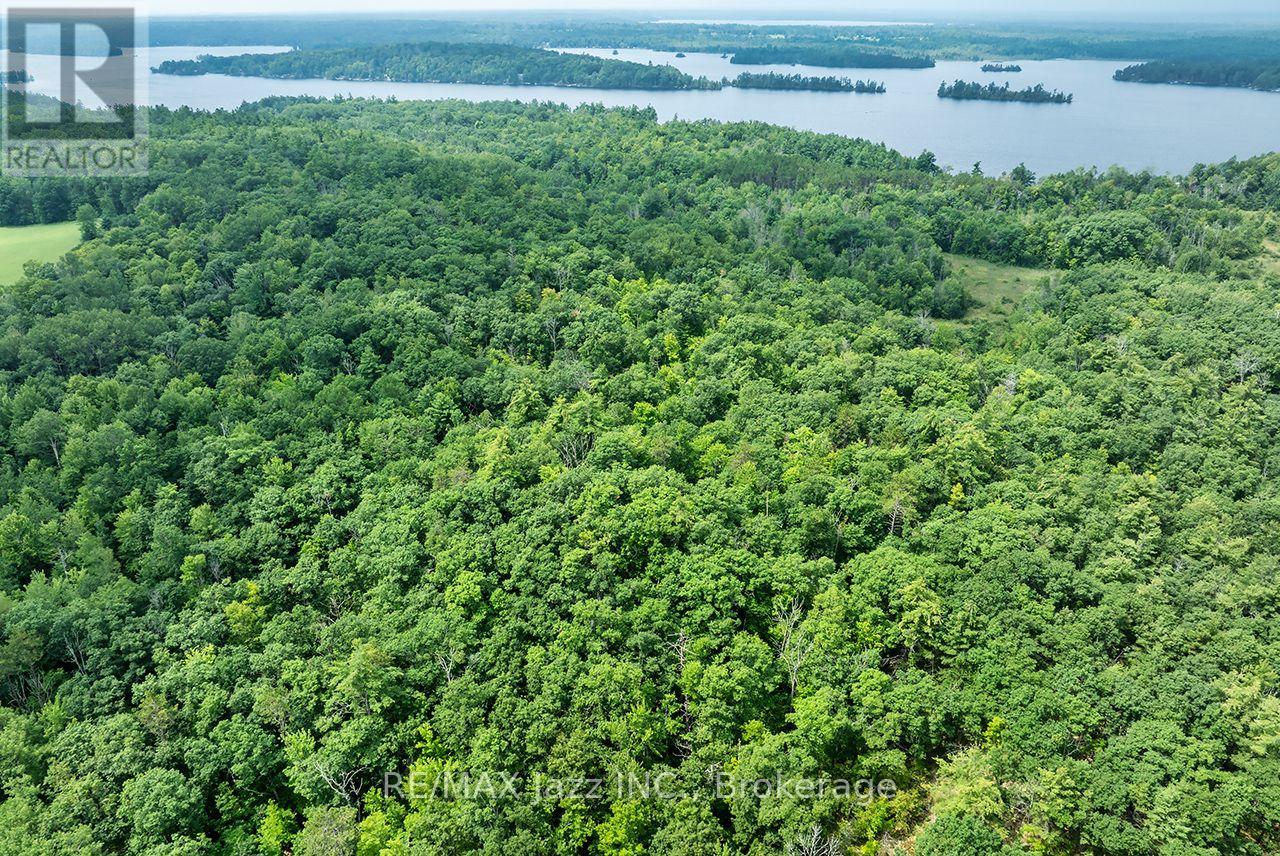 147 Fire Route 8, Havelock-Belmont-Methuen, Ontario K0L 1Z0 - Photo 13 - X13688168
