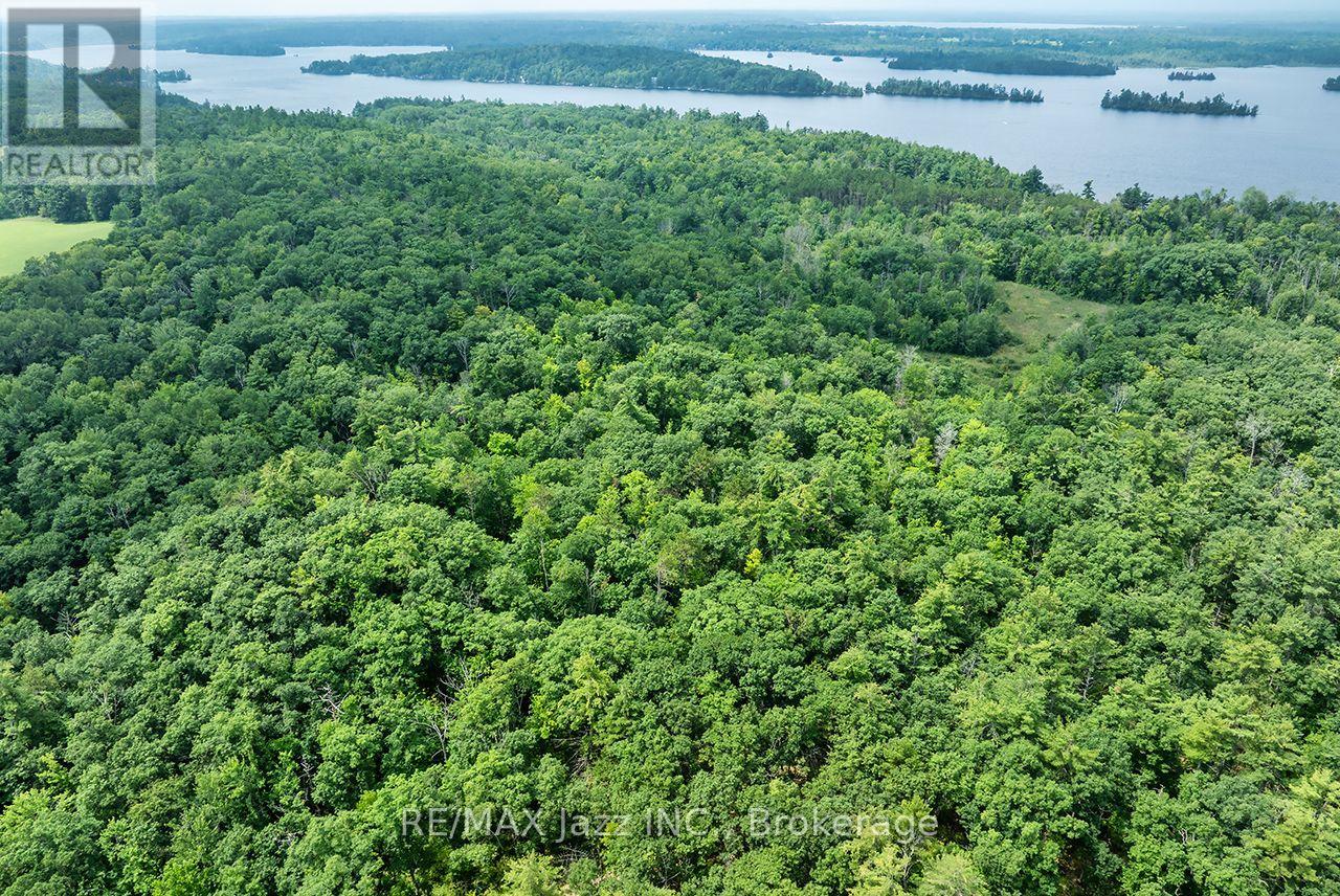 147 Fire Route 8, Havelock-Belmont-Methuen, Ontario K0L 1Z0 - Photo 14 - X13688168