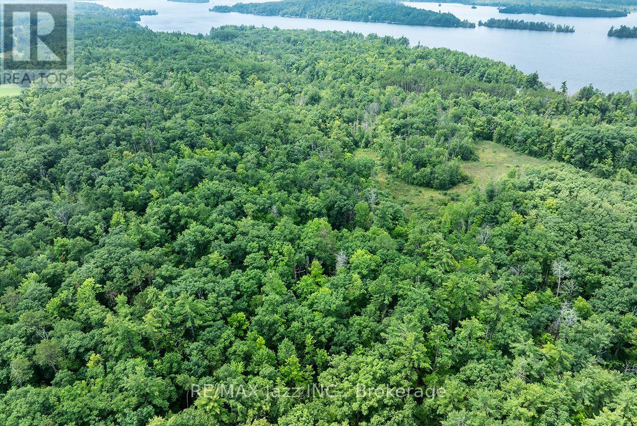 147 Fire Route 8, Havelock-Belmont-Methuen, Ontario  K0L 1Z0 - Photo 16 - X13688168