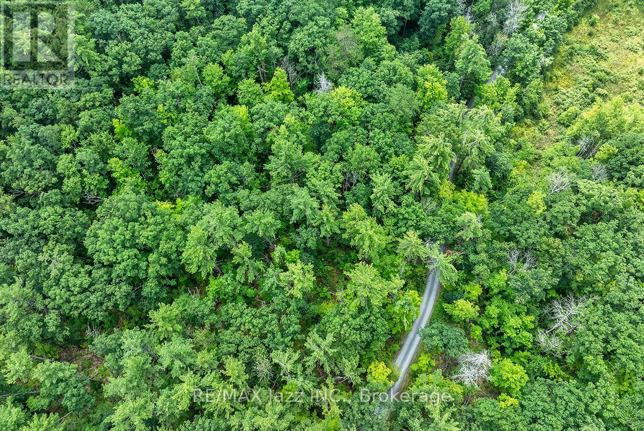 147 Fire Route 8, Havelock-Belmont-Methuen, Ontario  K0L 1Z0 - Photo 17 - X13688168