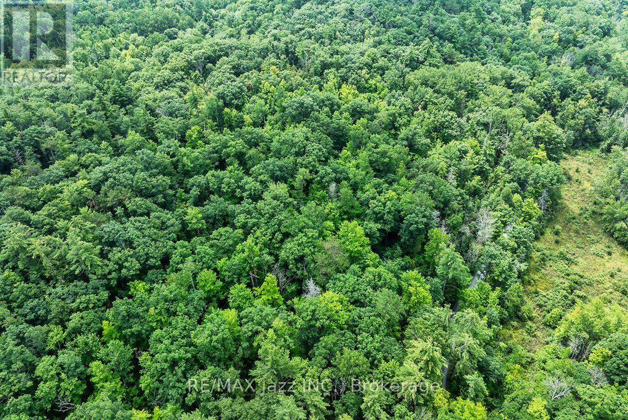 147 Fire Route 8, Havelock-Belmont-Methuen, Ontario  K0L 1Z0 - Photo 18 - X13688168