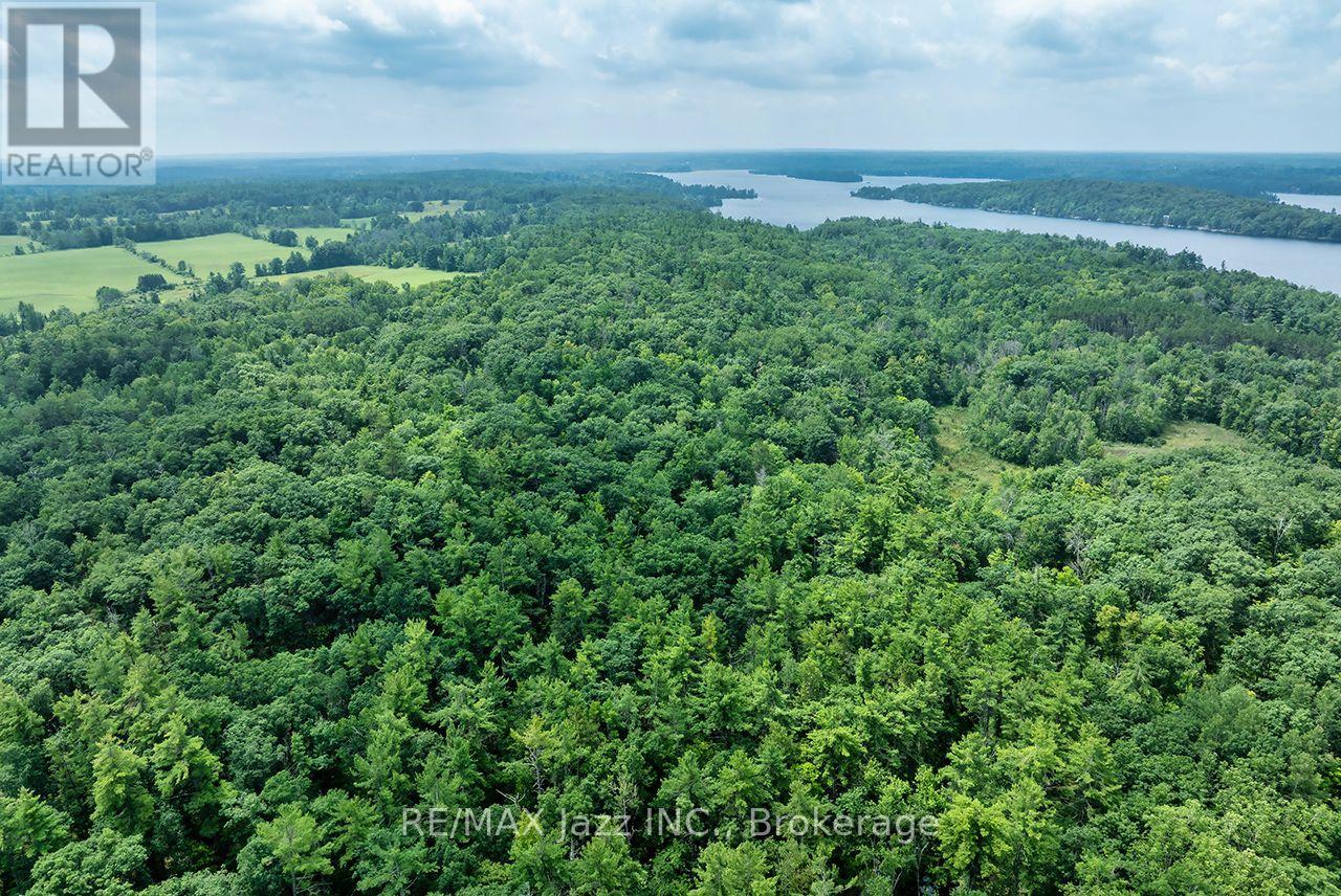 147 Fire Route 8, Havelock-Belmont-Methuen, Ontario K0L 1Z0 - Photo 19 - X13688168