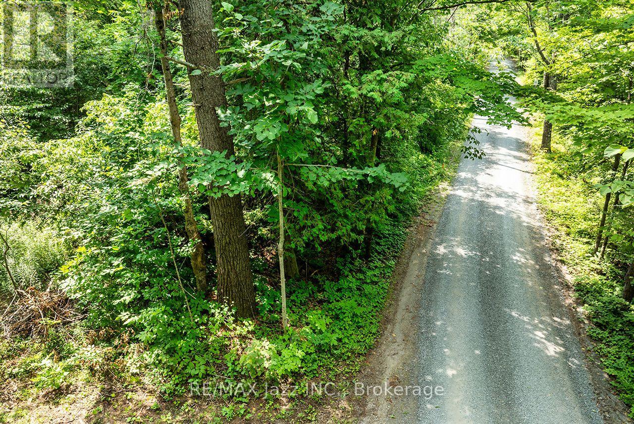 147 Fire Route 8, Havelock-Belmont-Methuen, Ontario  K0L 1Z0 - Photo 21 - X13688168
