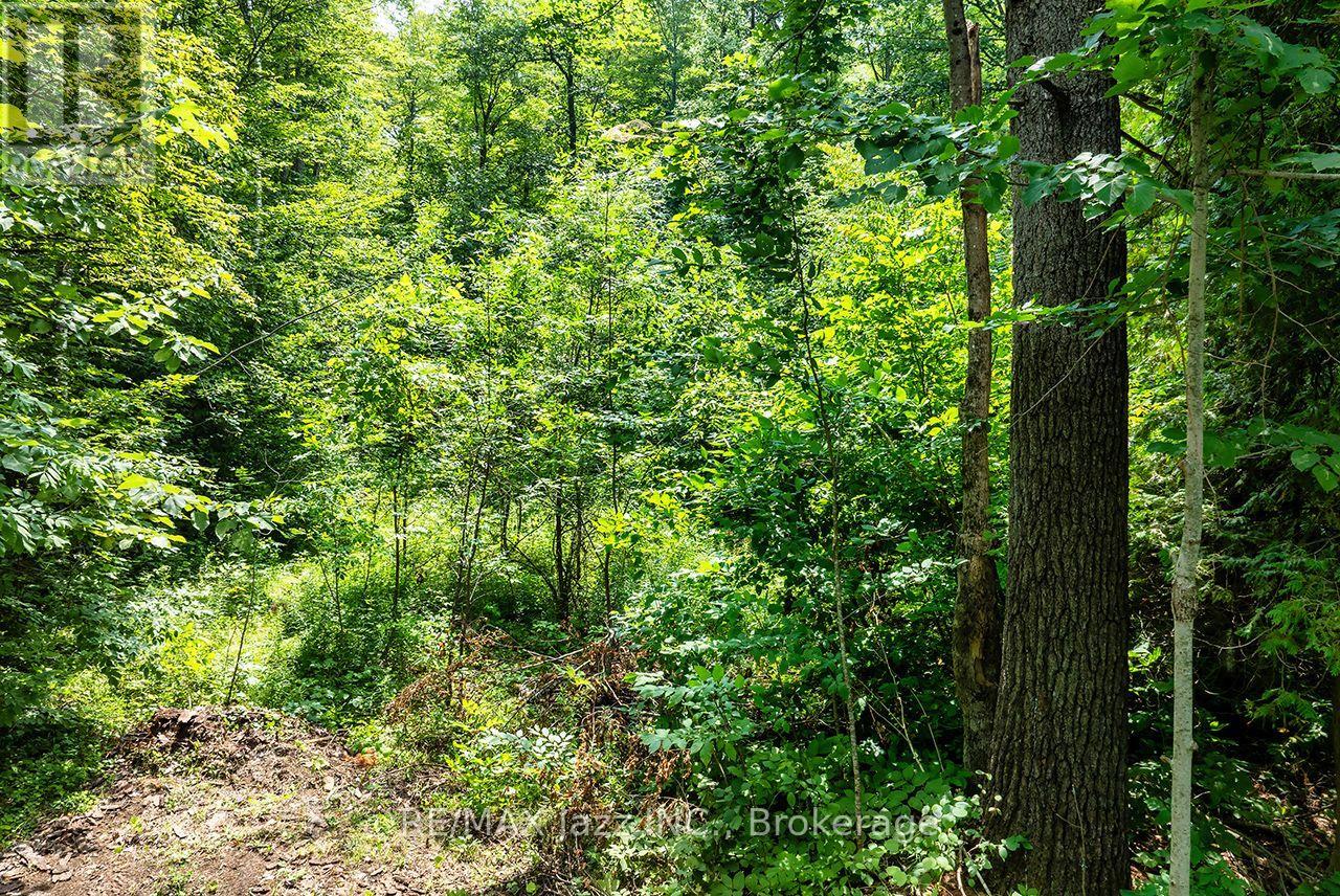 147 Fire Route 8, Havelock-Belmont-Methuen, Ontario  K0L 1Z0 - Photo 23 - X13688168