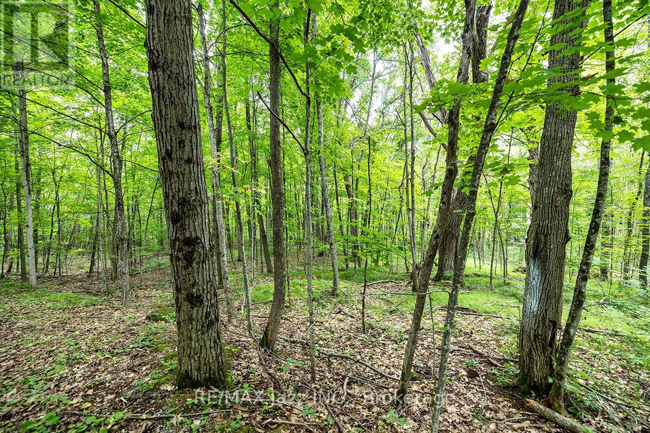 147 Fire Route 8, Havelock-Belmont-Methuen, Ontario  K0L 1Z0 - Photo 24 - X13688168