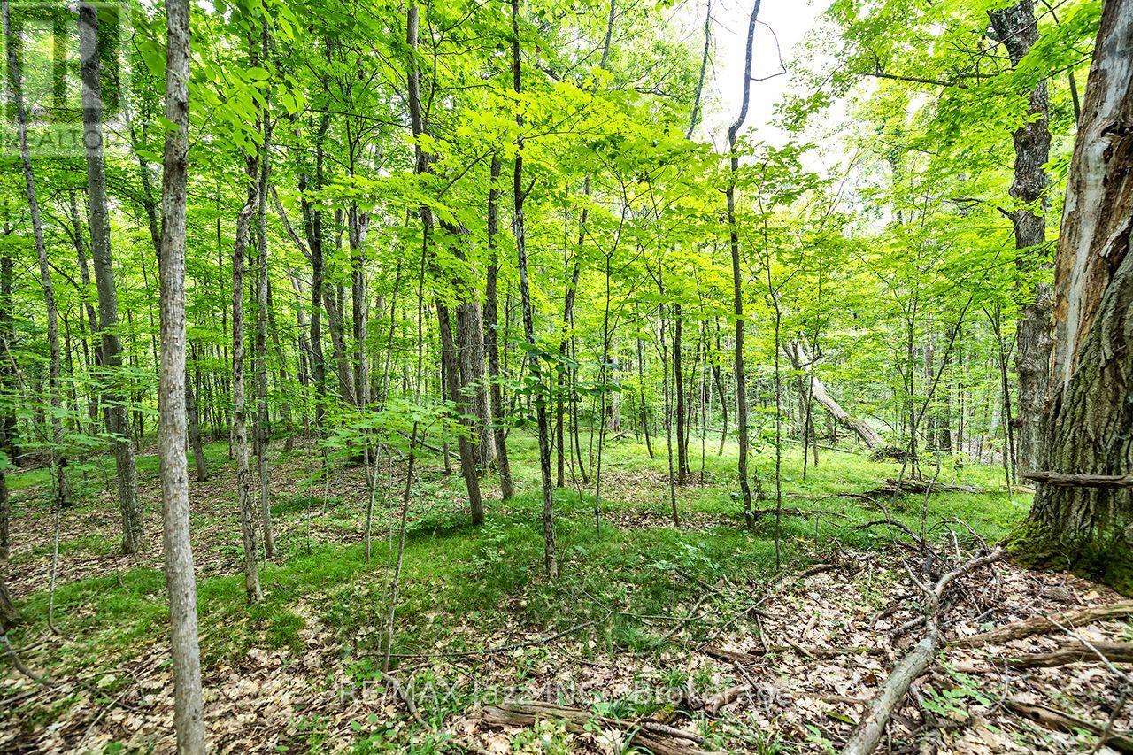 147 Fire Route 8, Havelock-Belmont-Methuen, Ontario  K0L 1Z0 - Photo 25 - X13688168