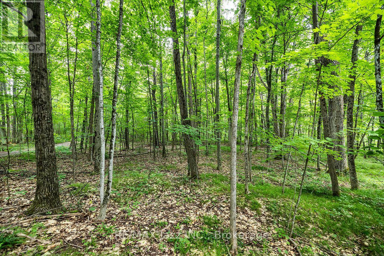 147 Fire Route 8, Havelock-Belmont-Methuen, Ontario  K0L 1Z0 - Photo 26 - X13688168