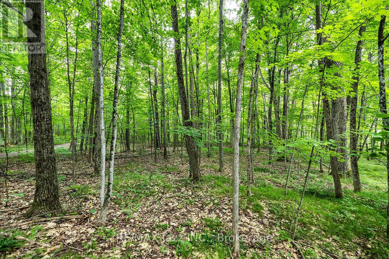 147 Fire Route 8, Havelock-Belmont-Methuen, Ontario  K0L 1Z0 - Photo 27 - X13688168