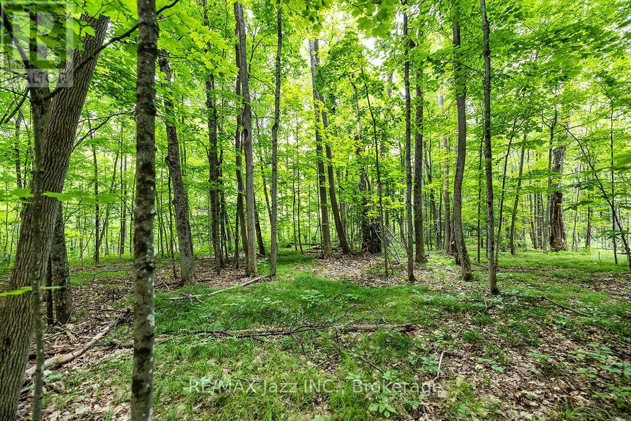 147 Fire Route 8, Havelock-Belmont-Methuen, Ontario  K0L 1Z0 - Photo 28 - X13688168