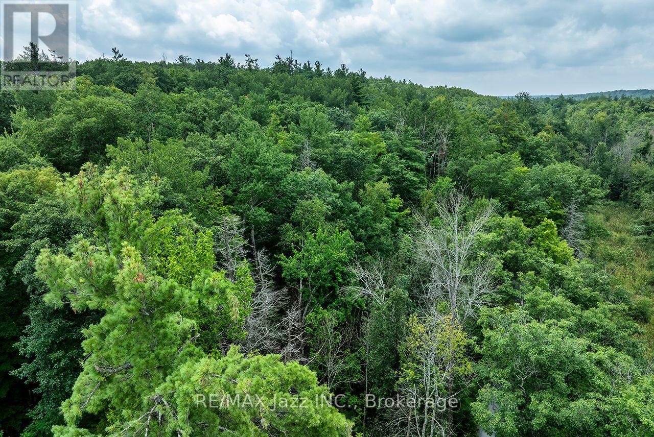 147 Fire Route 8, Havelock-Belmont-Methuen, Ontario  K0L 1Z0 - Photo 3 - X13688168
