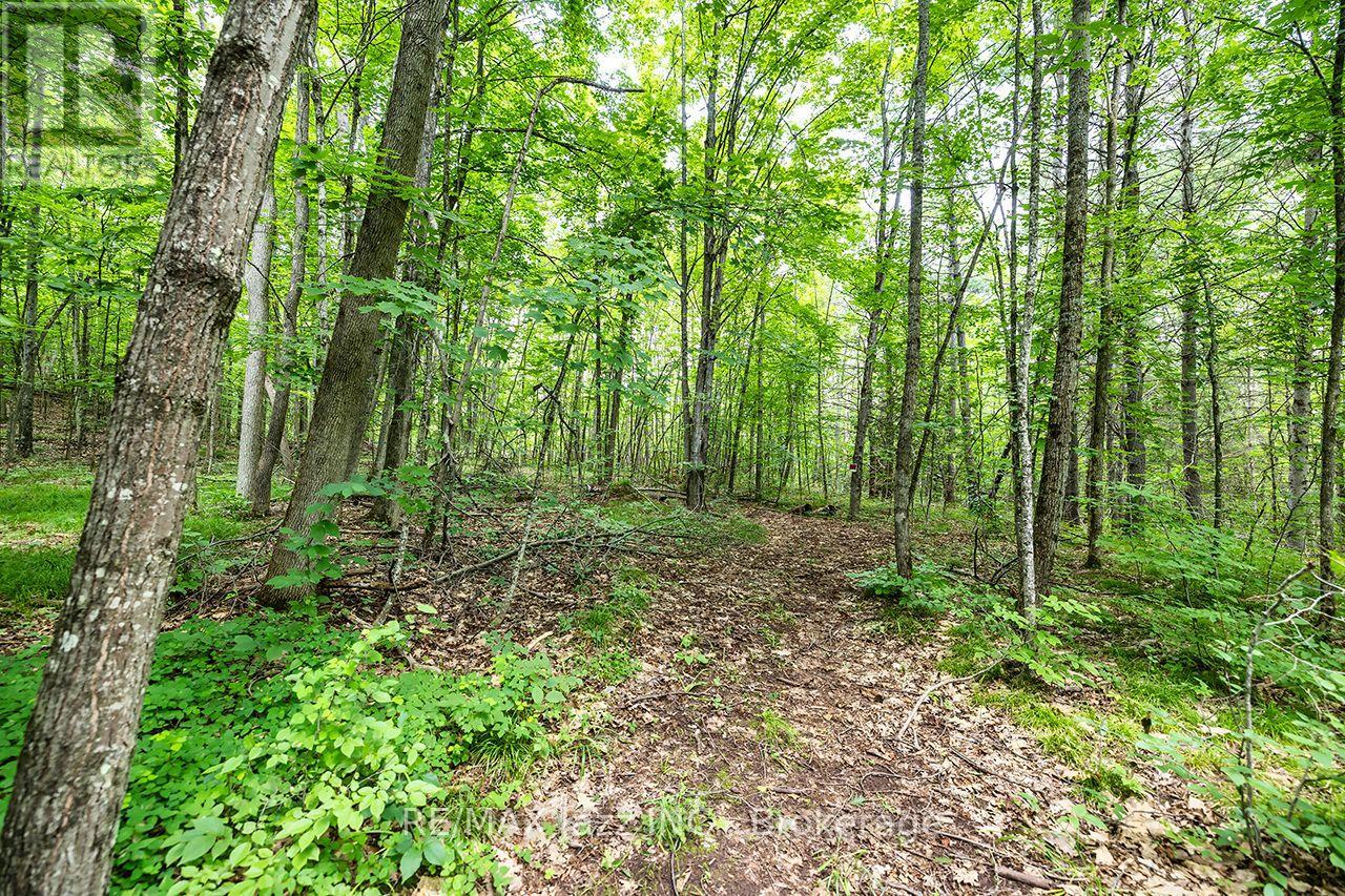 147 Fire Route 8, Havelock-Belmont-Methuen, Ontario  K0L 1Z0 - Photo 30 - X13688168
