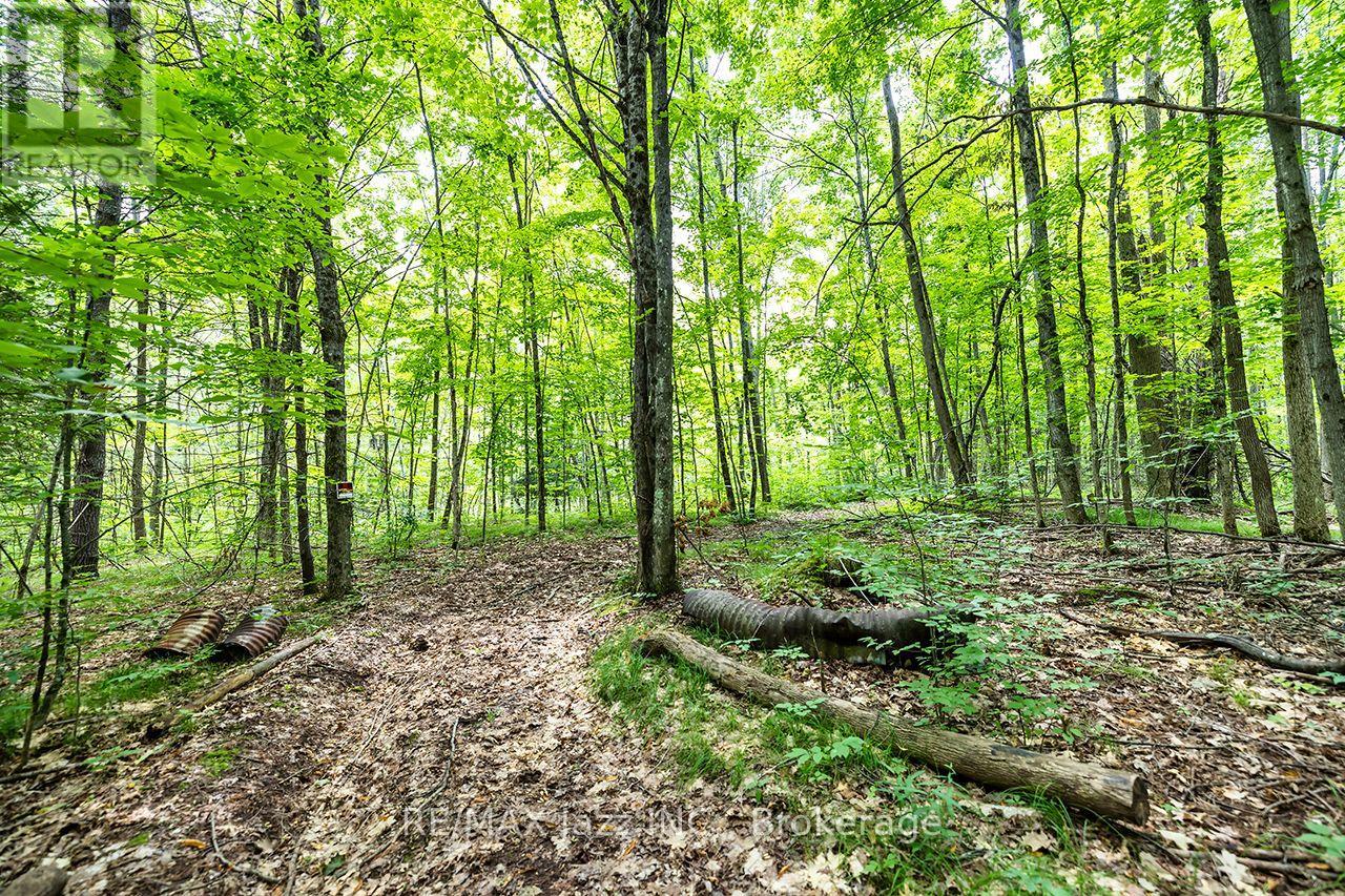 147 Fire Route 8, Havelock-Belmont-Methuen, Ontario  K0L 1Z0 - Photo 31 - X13688168