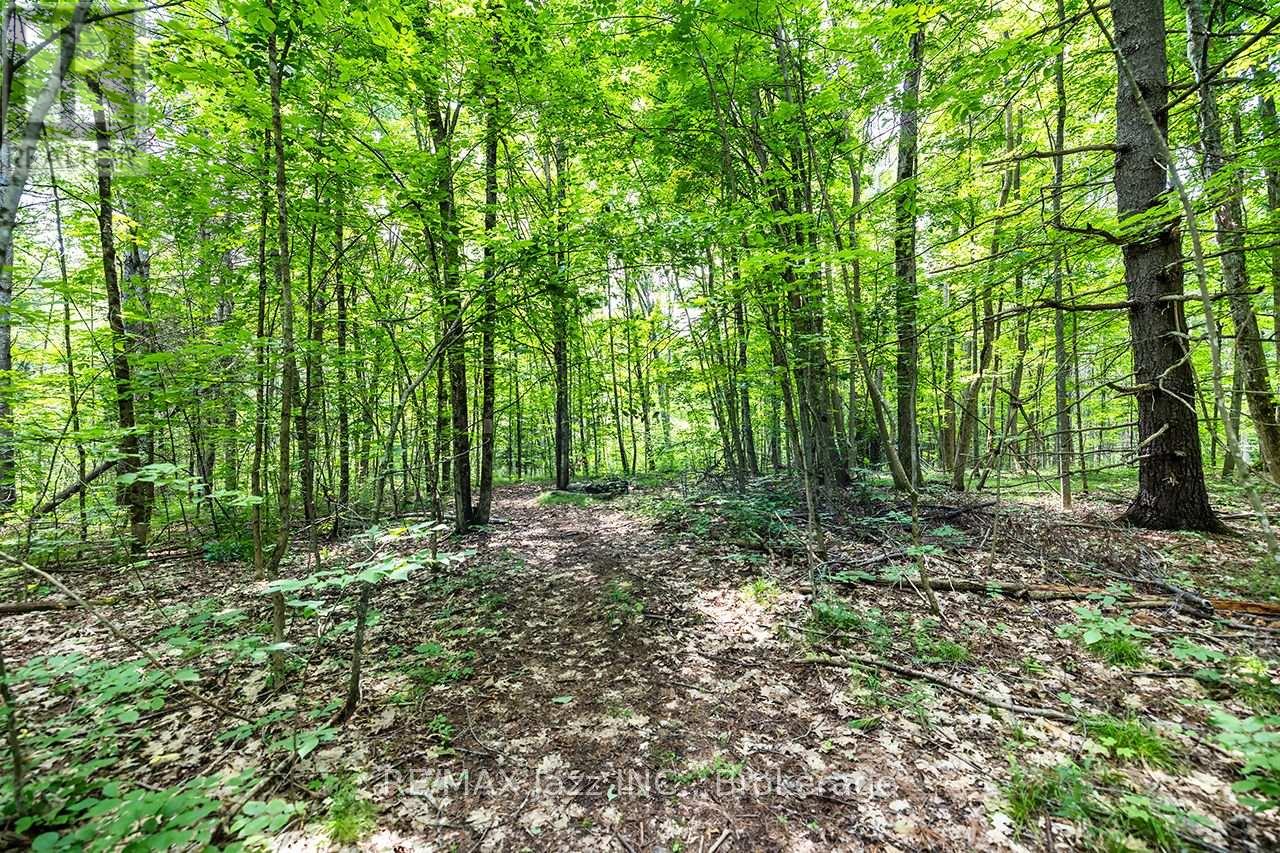 147 Fire Route 8, Havelock-Belmont-Methuen, Ontario  K0L 1Z0 - Photo 32 - X13688168