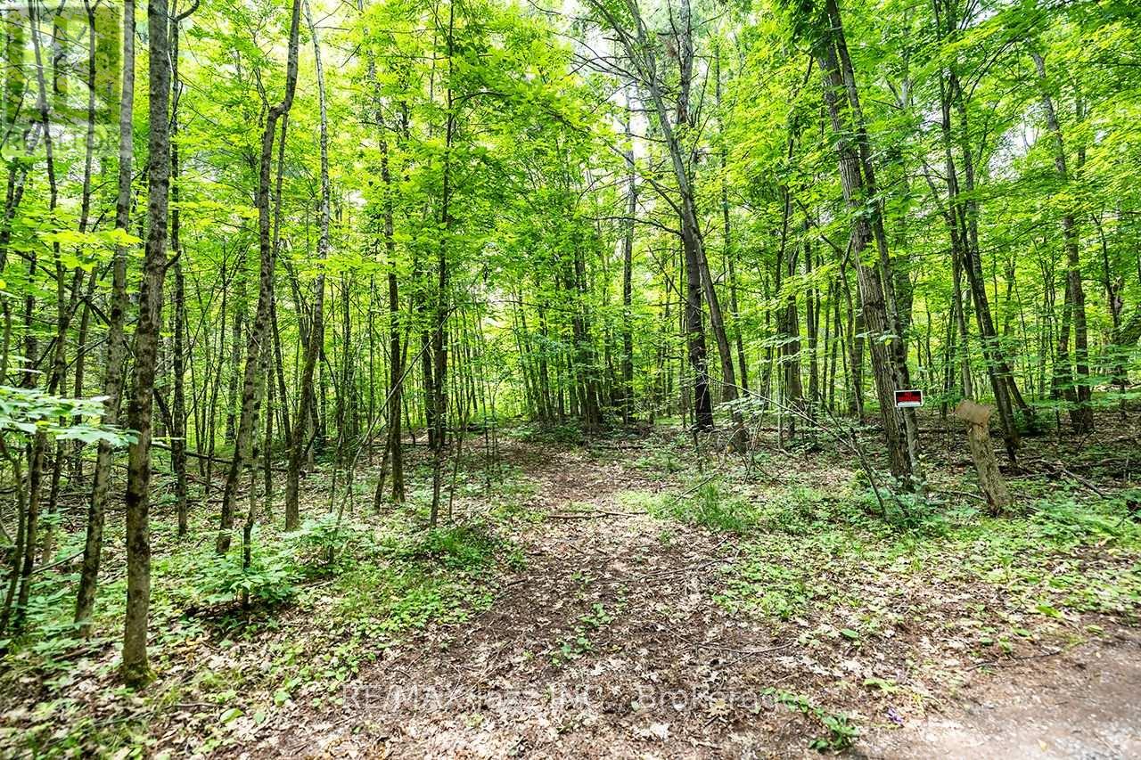 147 Fire Route 8, Havelock-Belmont-Methuen, Ontario  K0L 1Z0 - Photo 34 - X13688168