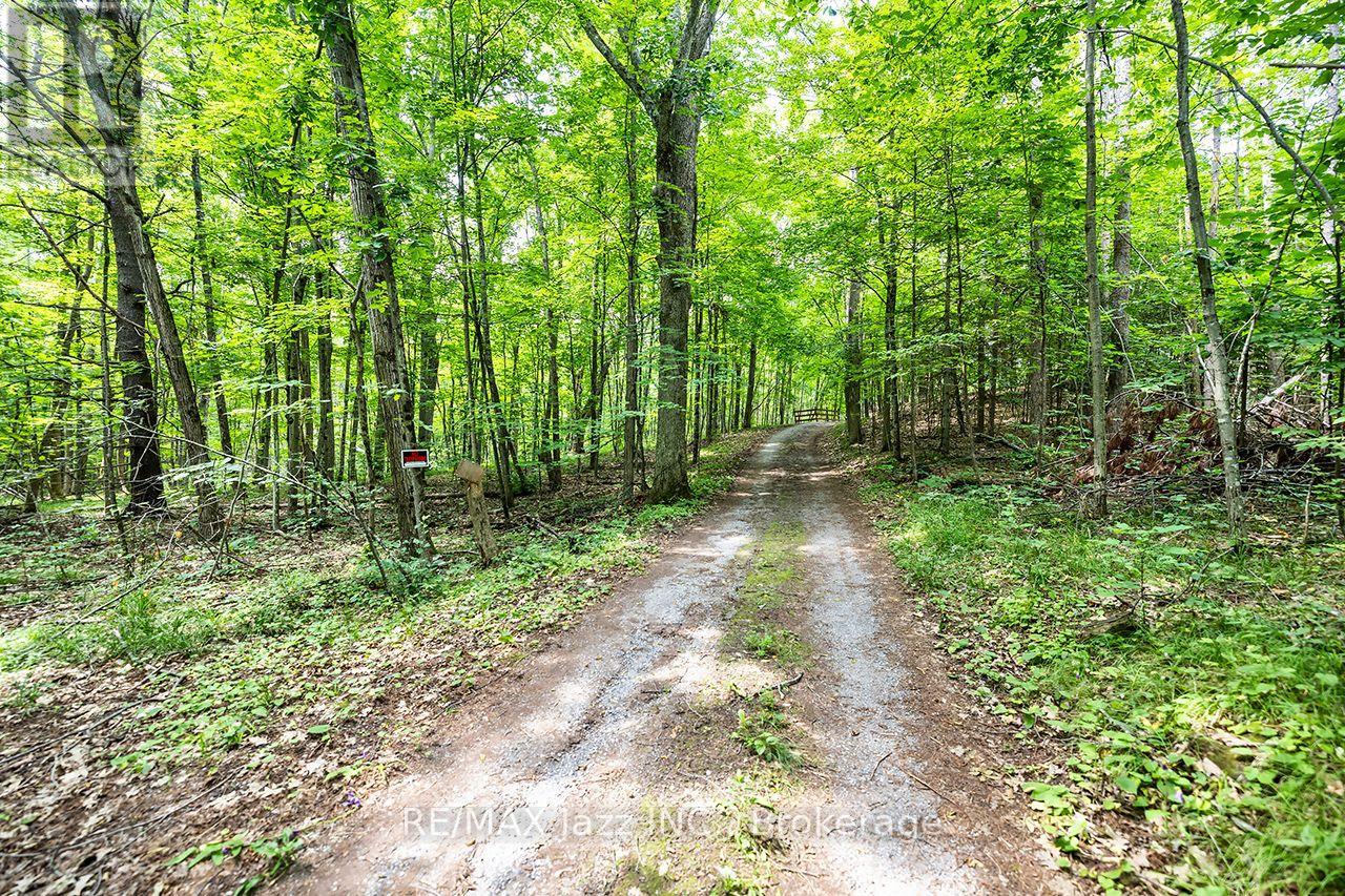 147 Fire Route 8, Havelock-Belmont-Methuen, Ontario  K0L 1Z0 - Photo 35 - X13688168