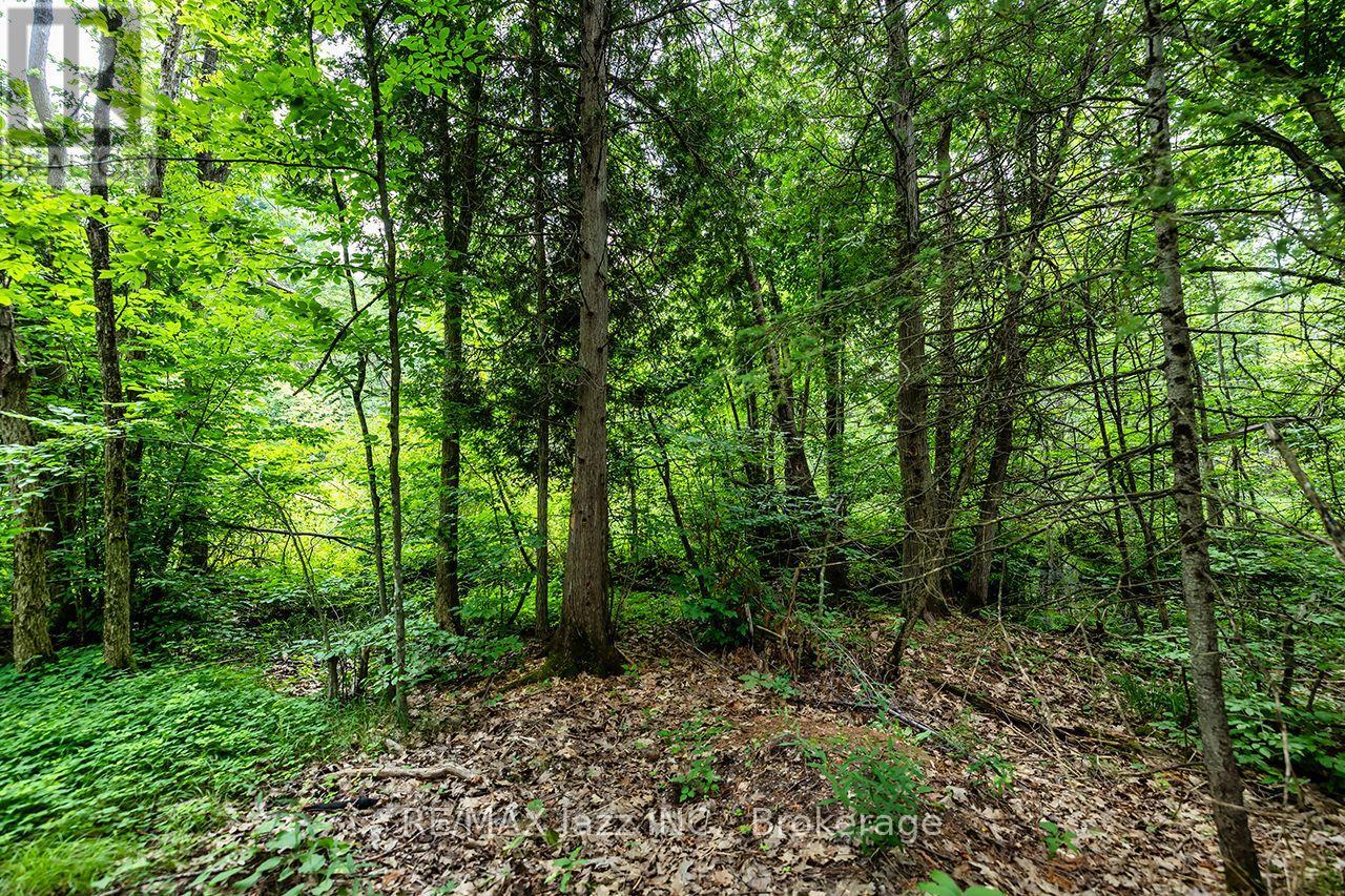 147 Fire Route 8, Havelock-Belmont-Methuen, Ontario  K0L 1Z0 - Photo 37 - X13688168