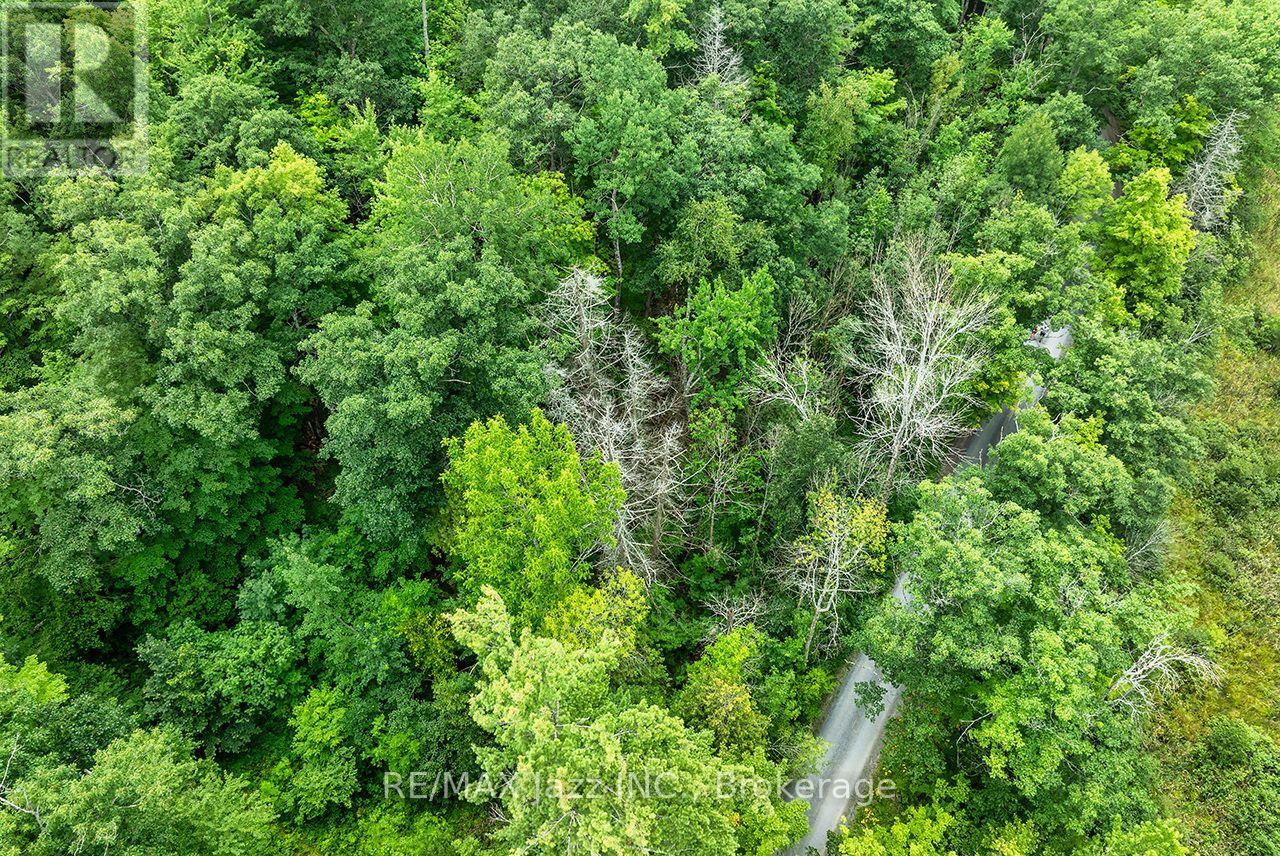147 Fire Route 8, Havelock-Belmont-Methuen, Ontario  K0L 1Z0 - Photo 4 - X13688168
