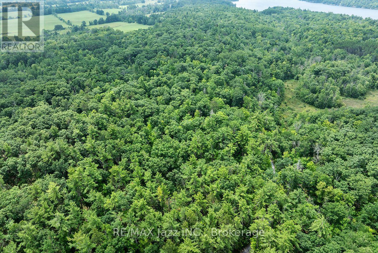 147 Fire Route 8, Havelock-Belmont-Methuen, Ontario  K0L 1Z0 - Photo 7 - X13688168
