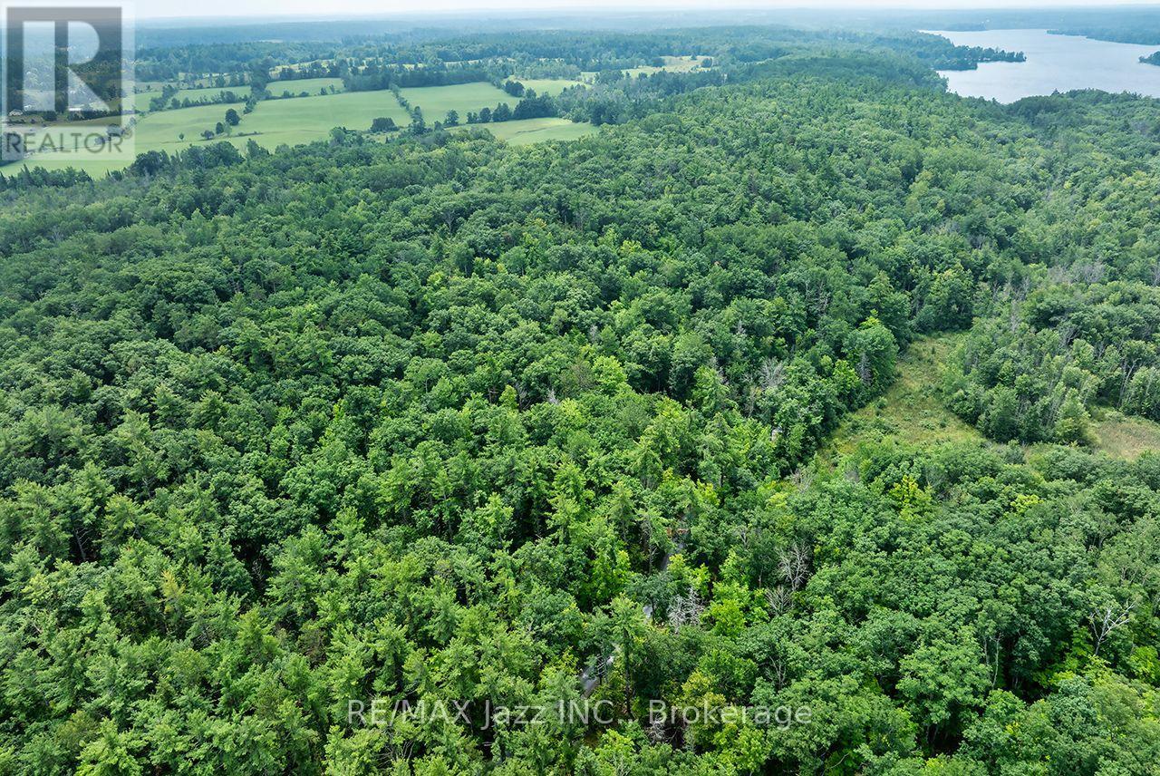 147 Fire Route 8, Havelock-Belmont-Methuen, Ontario  K0L 1Z0 - Photo 8 - X13688168