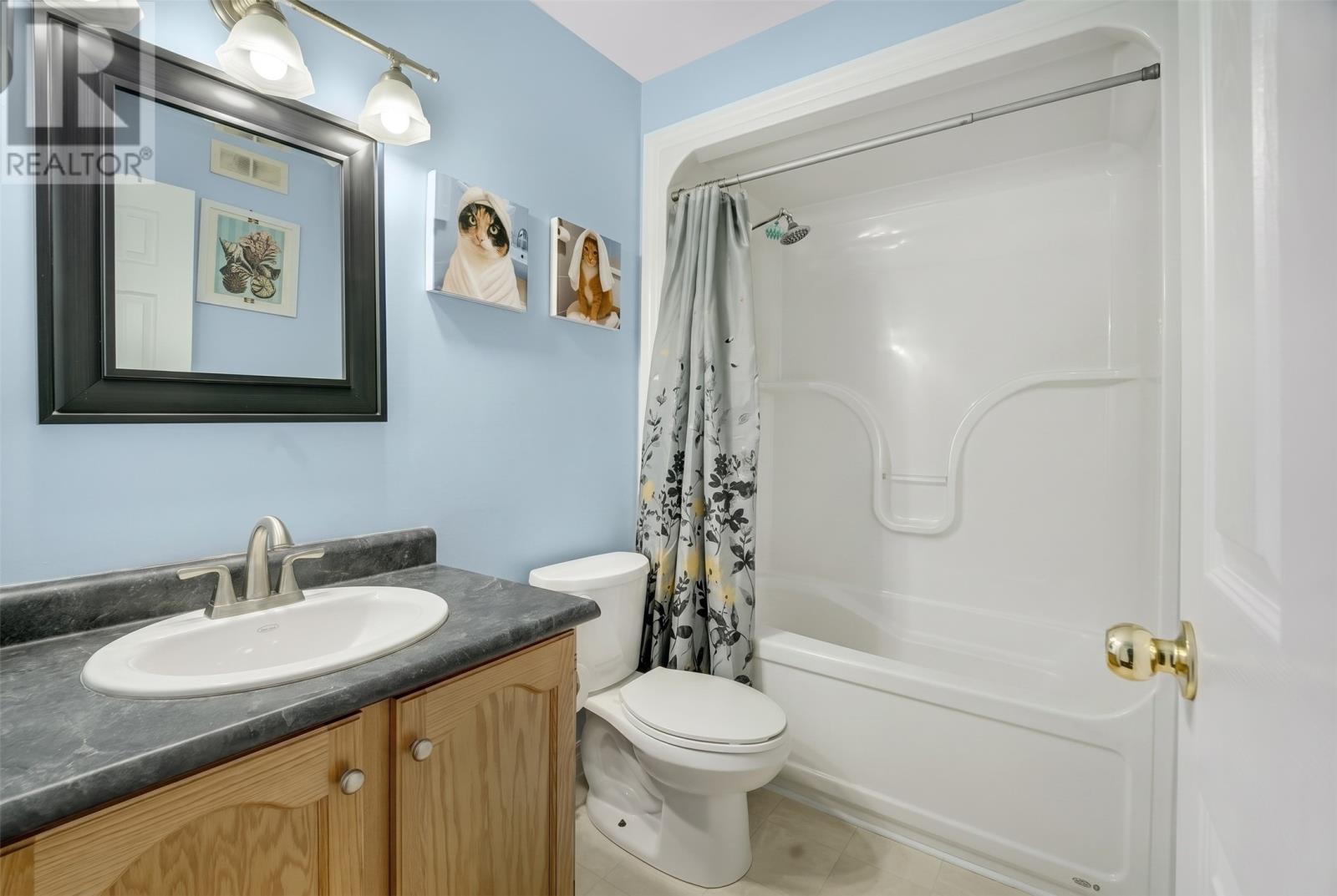 13 Meeker Place, St. John's — photo 14