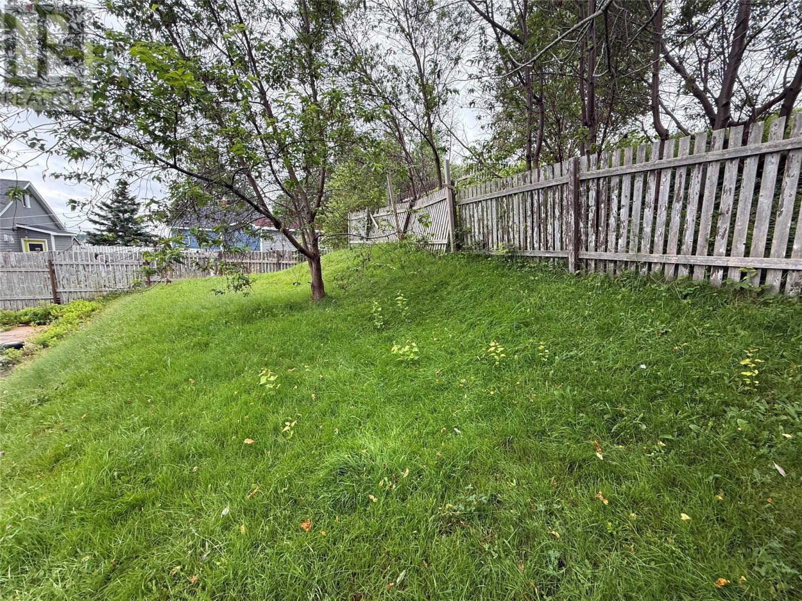11 Caribou Road, Grand Falls-Windsor — photo 6