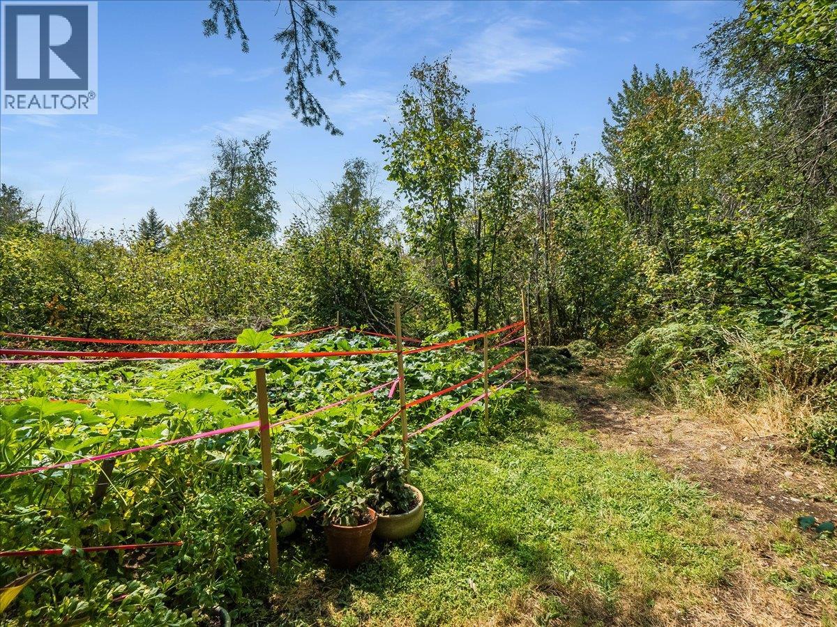 3617 14th Avenue, Castlegar, British Columbia  V1N 4J2 - Photo 74 - 10398027