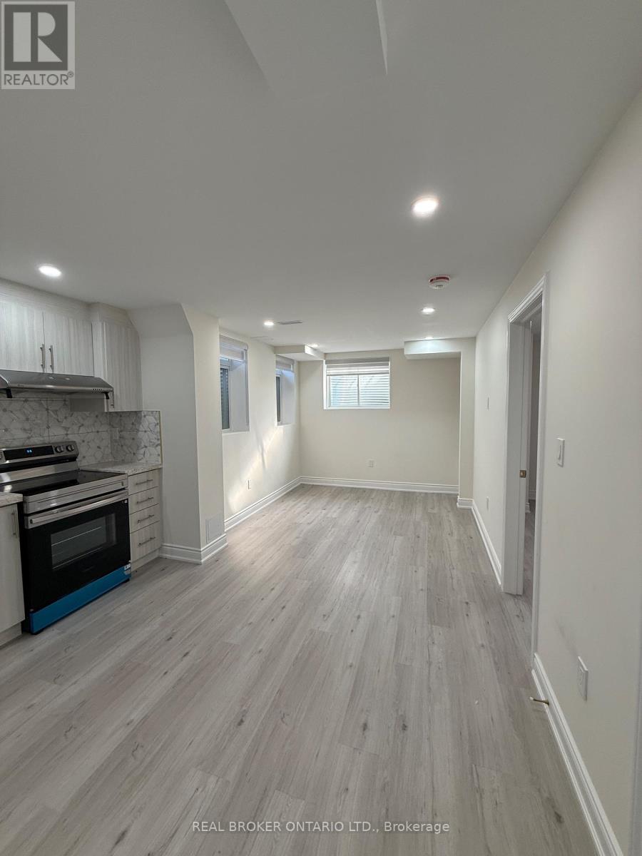 Basement - 1442 Watercress Way, Milton, Ontario  L9E 1T8 - Photo 14 - W13688074