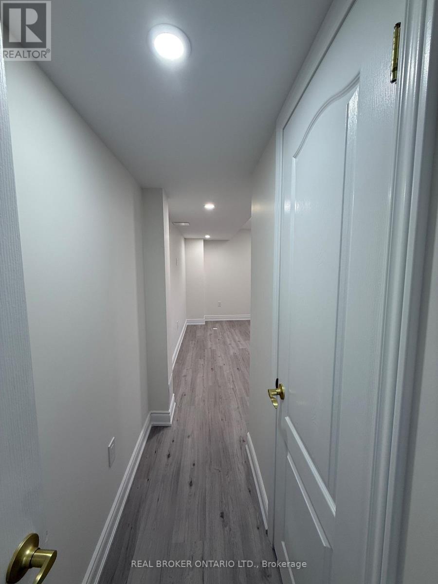 Basement - 1442 Watercress Way, Milton, Ontario  L9E 1T8 - Photo 5 - W13688074