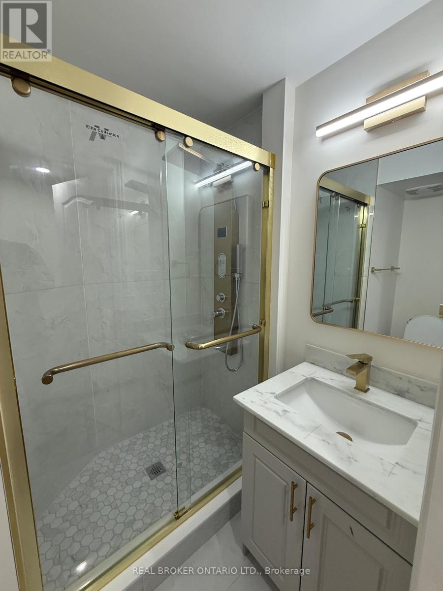 Basement - 1442 Watercress Way, Milton, Ontario  L9E 1T8 - Photo 9 - W13688074