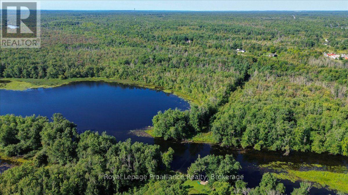 87 Cameron Street, Marmora And Lake, Ontario  K0K 2M0 - Photo 47 - X13688174