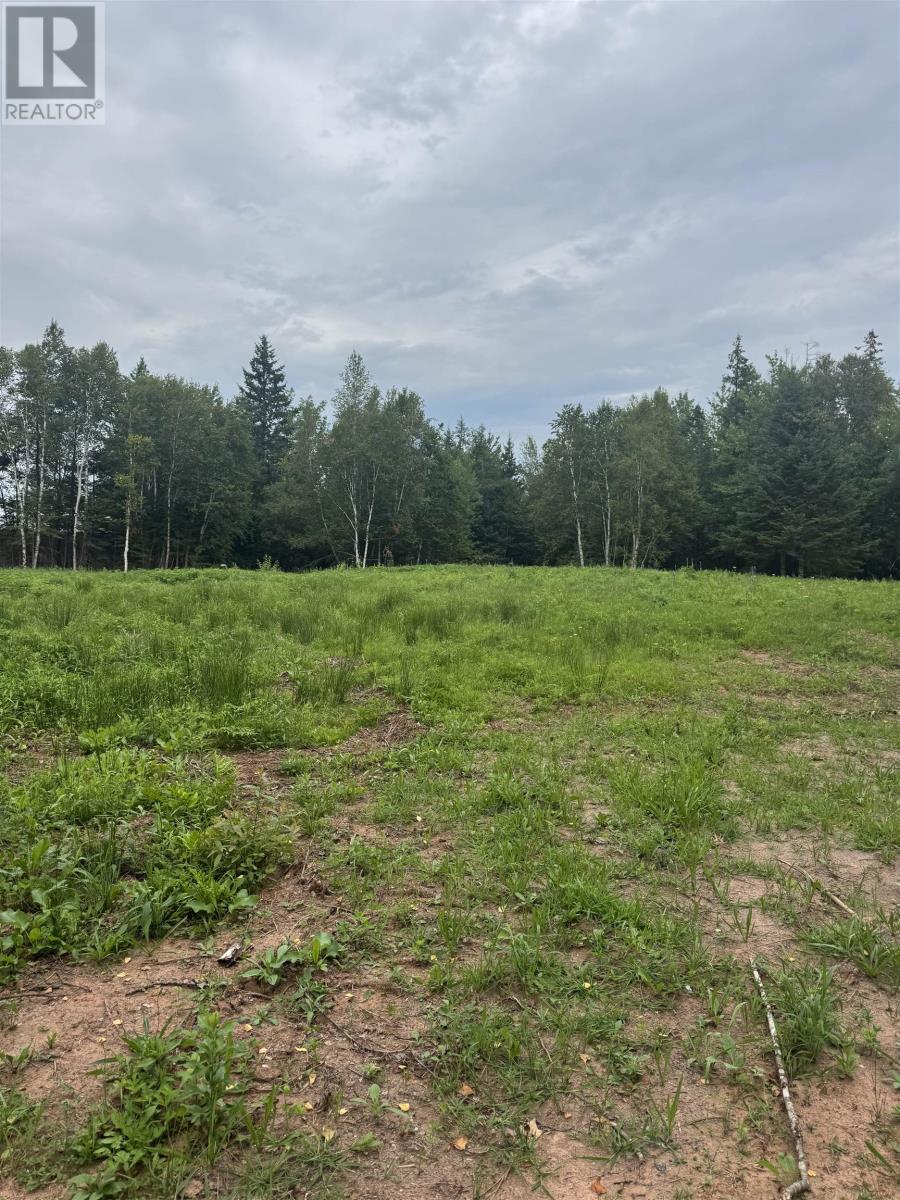 LOT COMMERCIAL Road, Lower Montague, Prince Edward Island