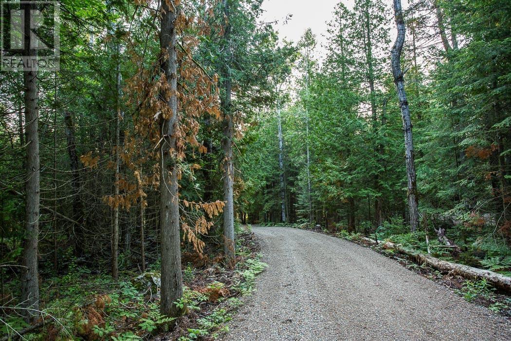 Lot 28 Richmond Bay Rd, Hilton Township, St. Joseph Island, Ontario P0R 1G0 - Photo 12 - SM252930