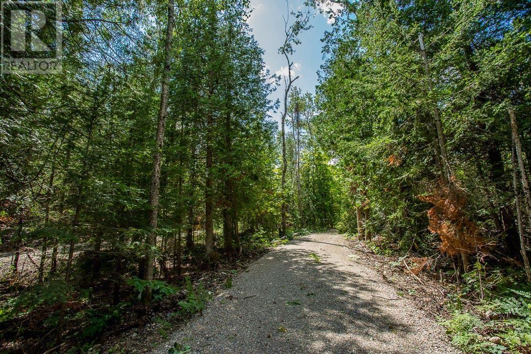 Lot 28 Richmond Bay Rd, Hilton Township, St. Joseph Island, Ontario P0R 1G0 - Photo 14 - SM252930