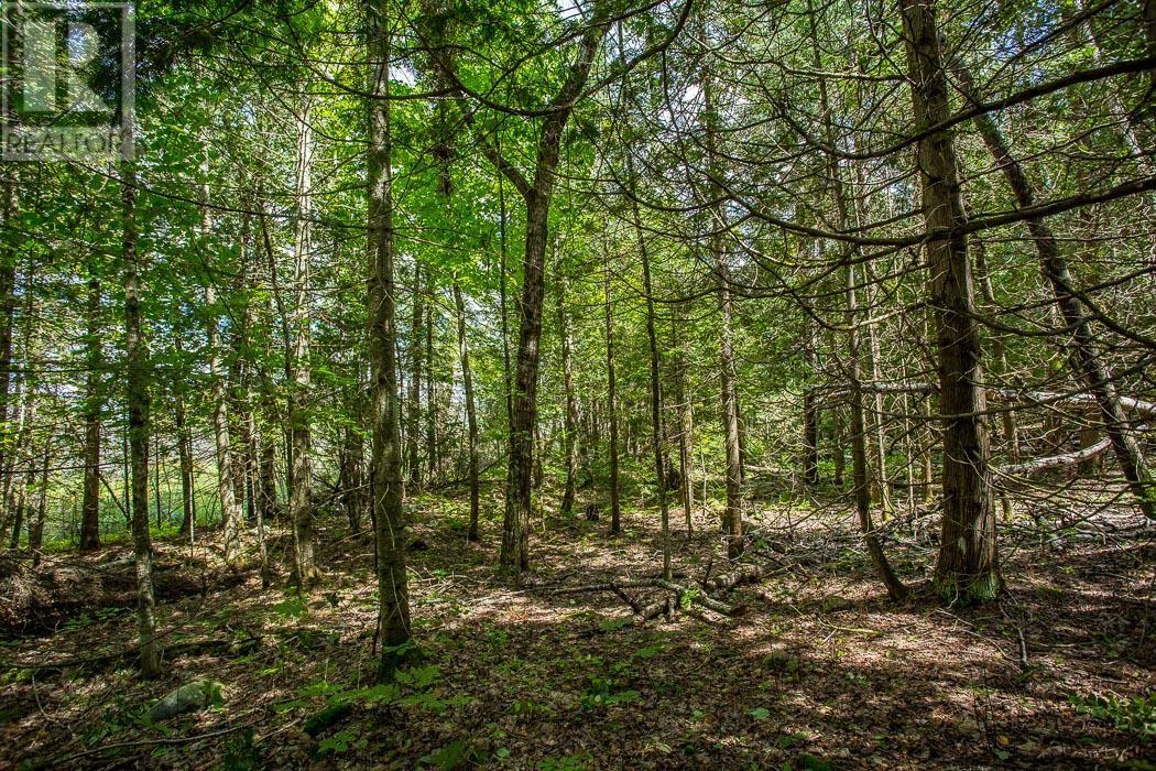 Lot 28 Richmond Bay Rd, Hilton Township, St. Joseph Island, Ontario P0R 1G0 - Photo 18 - SM252930