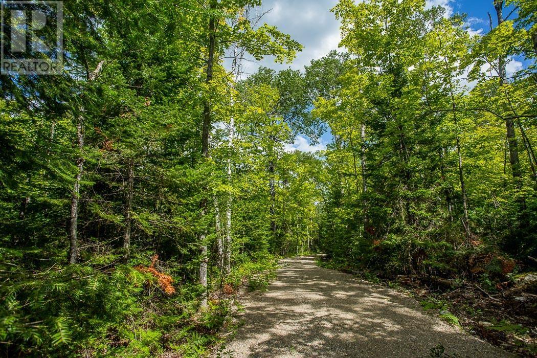 Lot 28 Richmond Bay Rd, Hilton Township, St. Joseph Island, Ontario P0R 1G0 - Photo 17 - SM252930