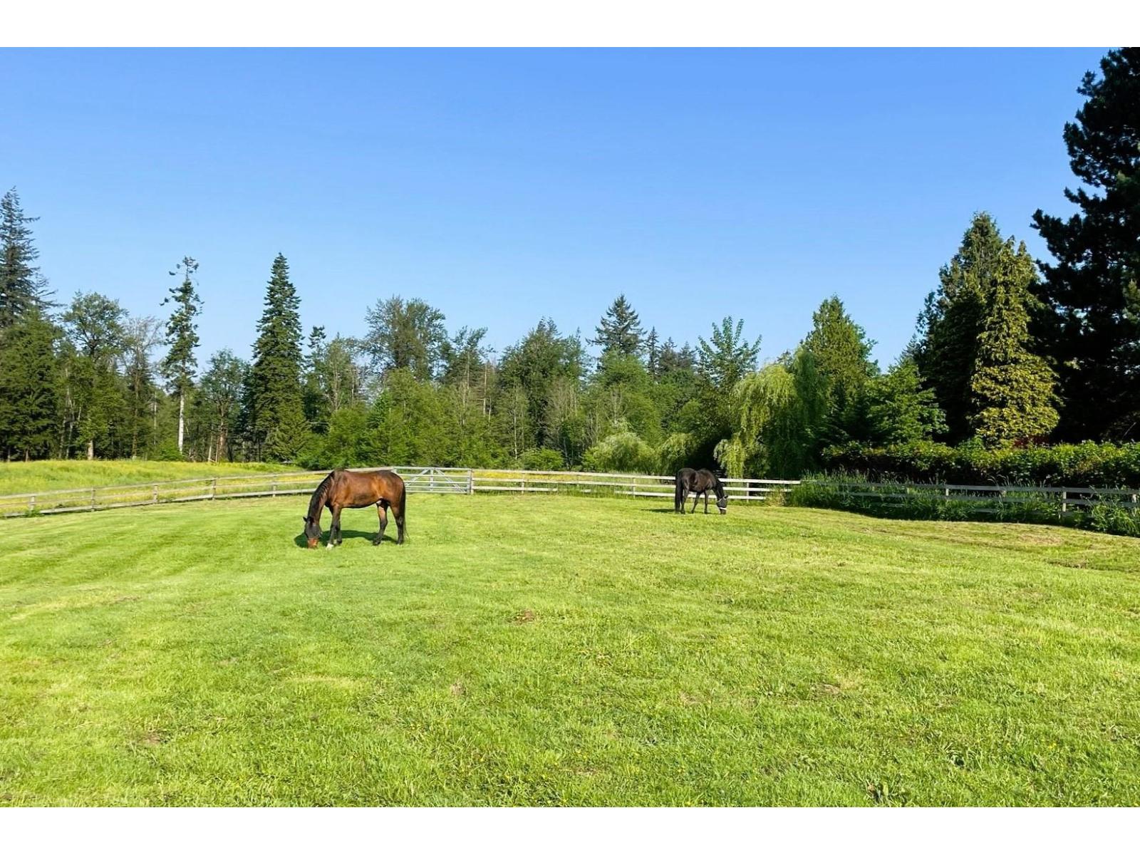 9837 Mckinnon Crescent, Langley, British Columbia  V1M 3V6 - Photo 32 - R3154502