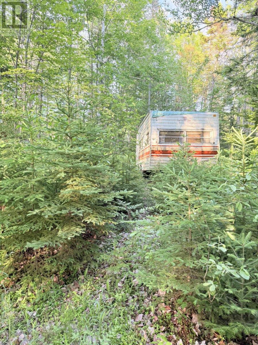 5 Acres Floating Bridge Road, Rte 202, Murray River, Prince Edward Island  C0A 1W0 - Photo 10 - 202614673