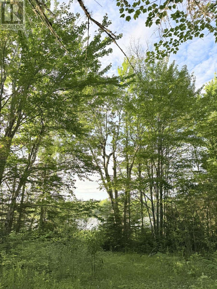 5 Acres Floating Bridge Road, Rte 202, Murray River, Prince Edward Island  C0A 1W0 - Photo 12 - 202614673