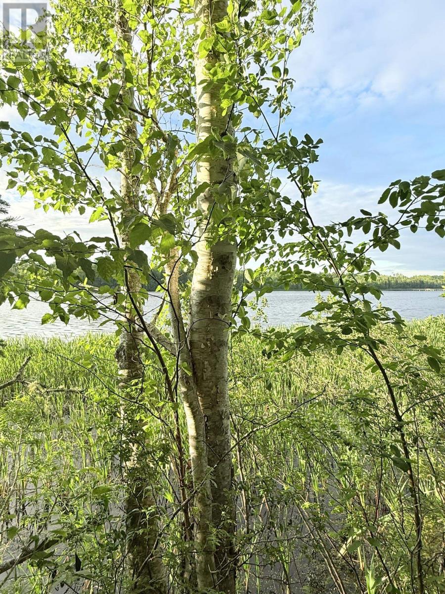 5 Acres Floating Bridge Road, Rte 202, Murray River, Prince Edward Island  C0A 1W0 - Photo 16 - 202614673