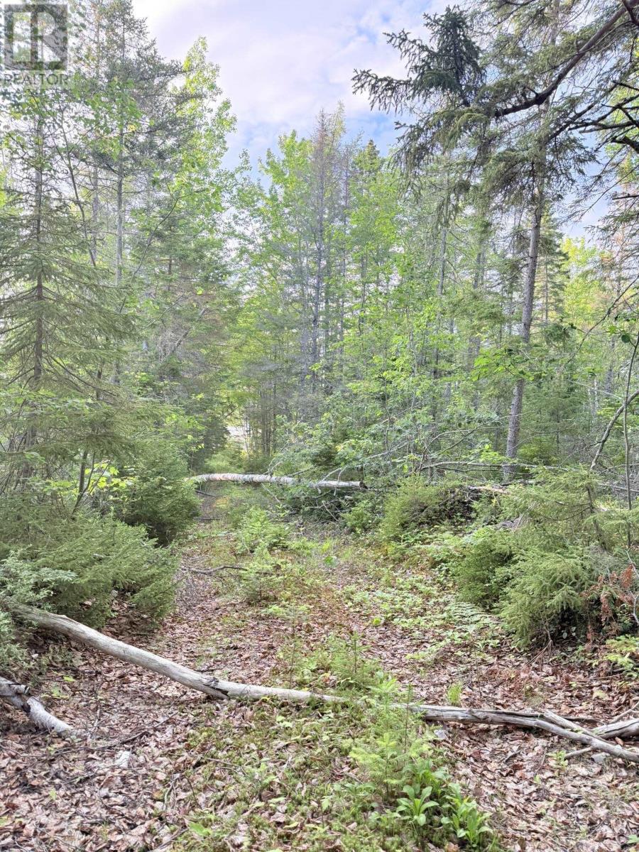 5 Acres Floating Bridge Road, Rte 202, Murray River, Prince Edward Island  C0A 1W0 - Photo 20 - 202614673