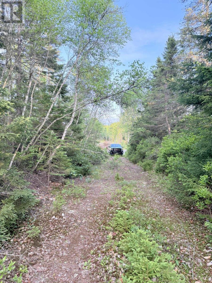 5 Acres Floating Bridge Road, Rte 202, Murray River, Prince Edward Island  C0A 1W0 - Photo 21 - 202614673
