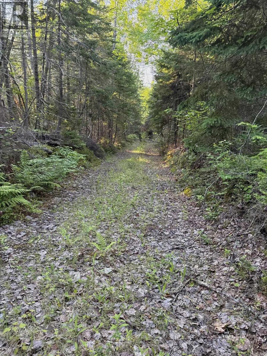 5 Acres Floating Bridge Road, Rte 202, Murray River, Prince Edward Island  C0A 1W0 - Photo 7 - 202614673