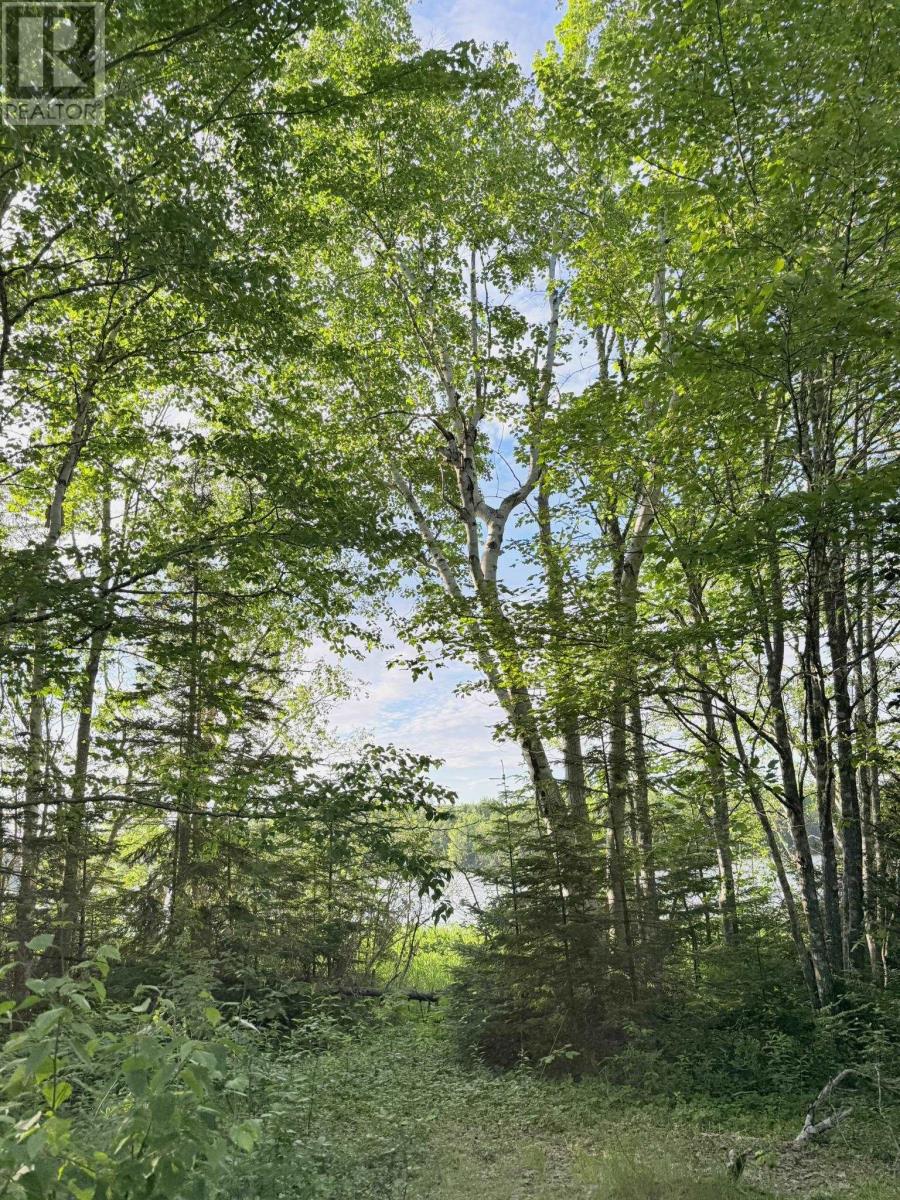 5 Acres Floating Bridge Road, Rte 202, Murray River, Prince Edward Island  C0A 1W0 - Photo 14 - 202614673